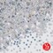 6 Pack Bulk Silver Holographic Party Stars Confetti (0.5 Oz/Pkg)
